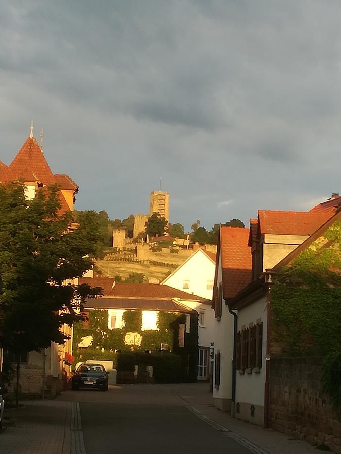 Gastehaus Bacchus Otel Wachenheim an der Weinstraße Dış mekan fotoğraf